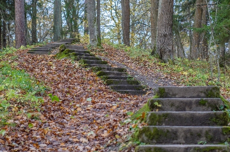 画像 自然の風景
 自然保護区
 自然環境
 写真