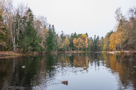 Image body of water natural landscape nature Photo