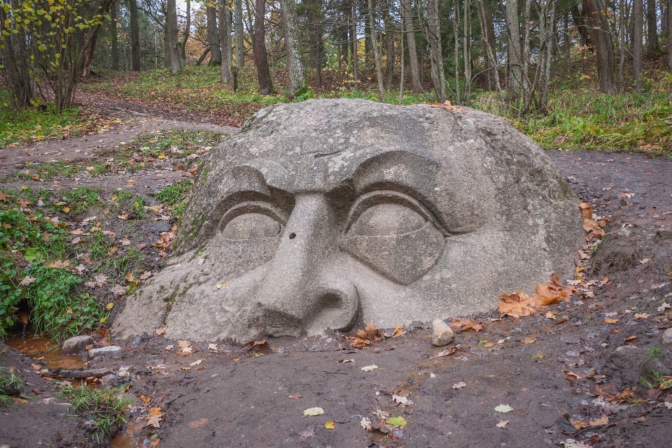 Image carving tree rock