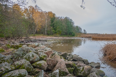 Image natural landscape water bank Photo