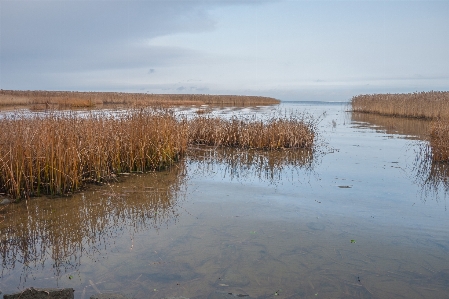 Image natural landscape water marsh Photo