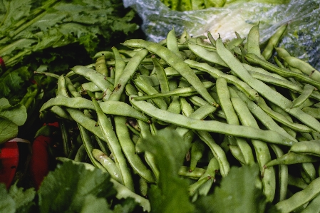 Vegetable leaf plant food Photo