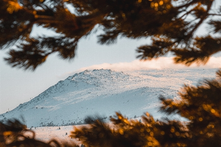 空 自然 木 自然の風景
 写真