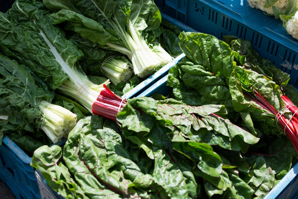 Chard leaf vegetable local food