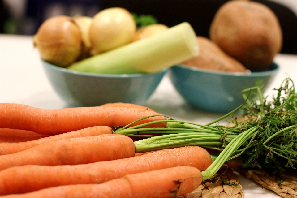 Comida vegetal de raiz
 cenoura