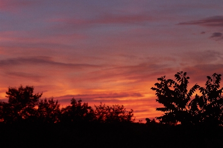 Sky afterglow red at morning sunset Photo