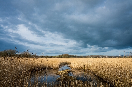 Natural landscape sky nature environment Photo