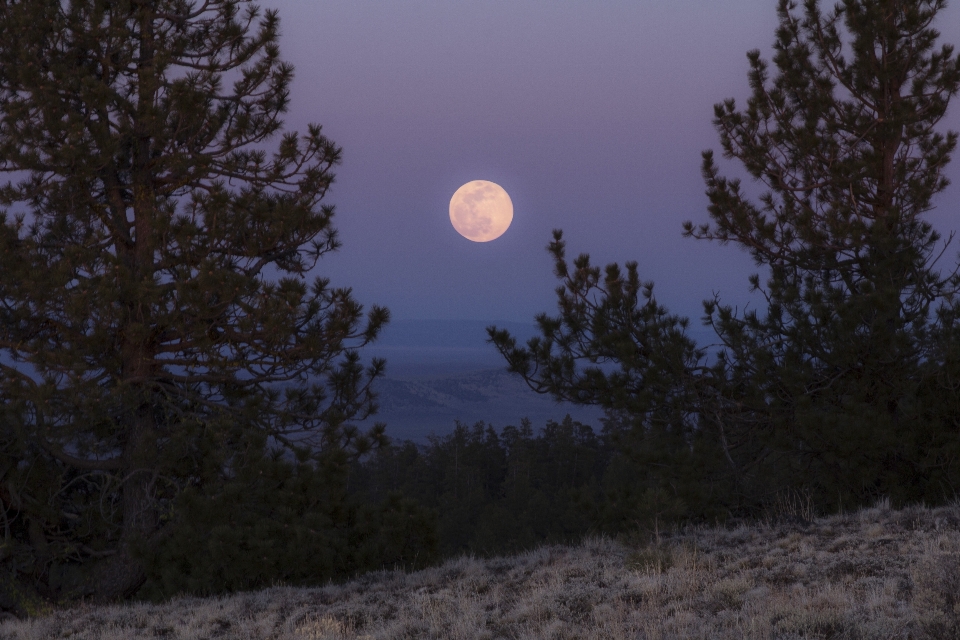 Moon sky full nature