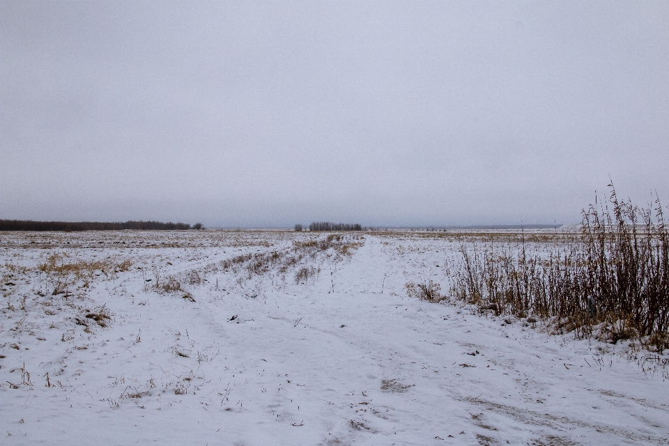 Landscape open space plain siberia