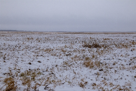 Landscape open space plain siberia Photo