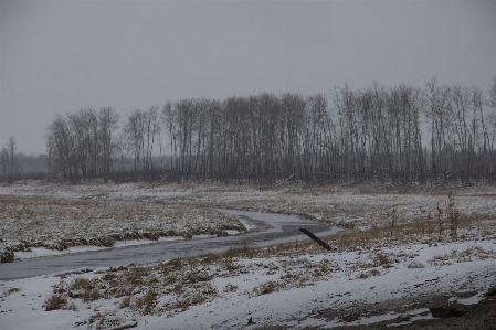 川 冬 雪 海岸 写真