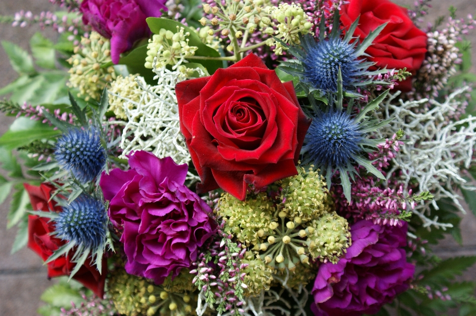 Fiore mazzo composizione floreale
 pianta