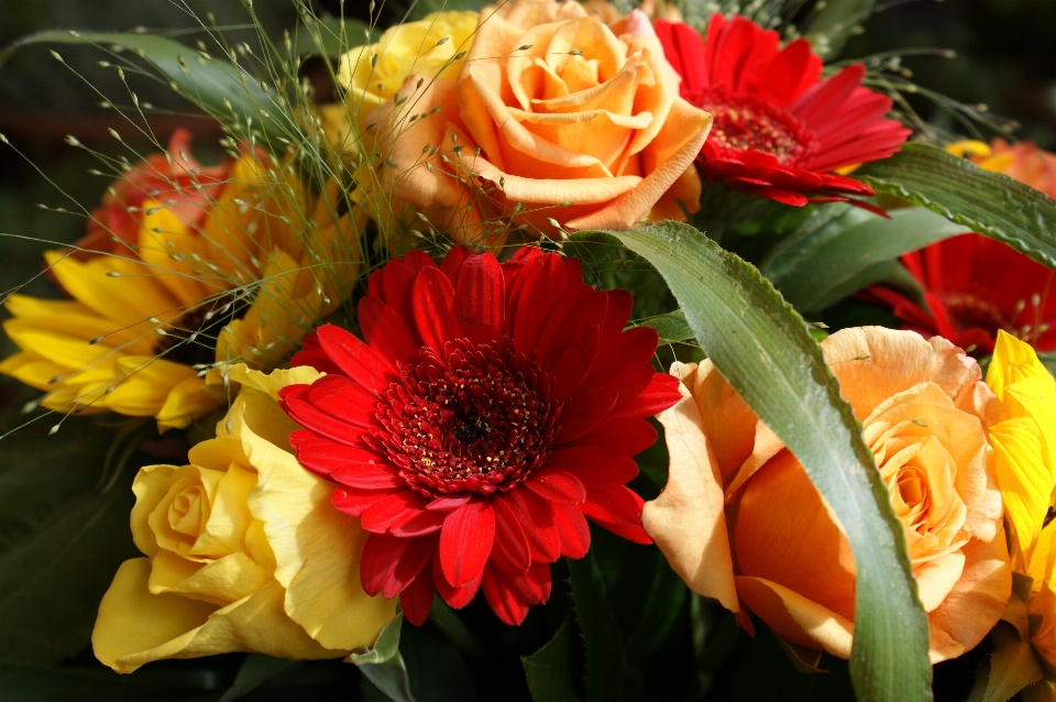 Fiore mazzo composizione floreale
 tagliare i fiori
