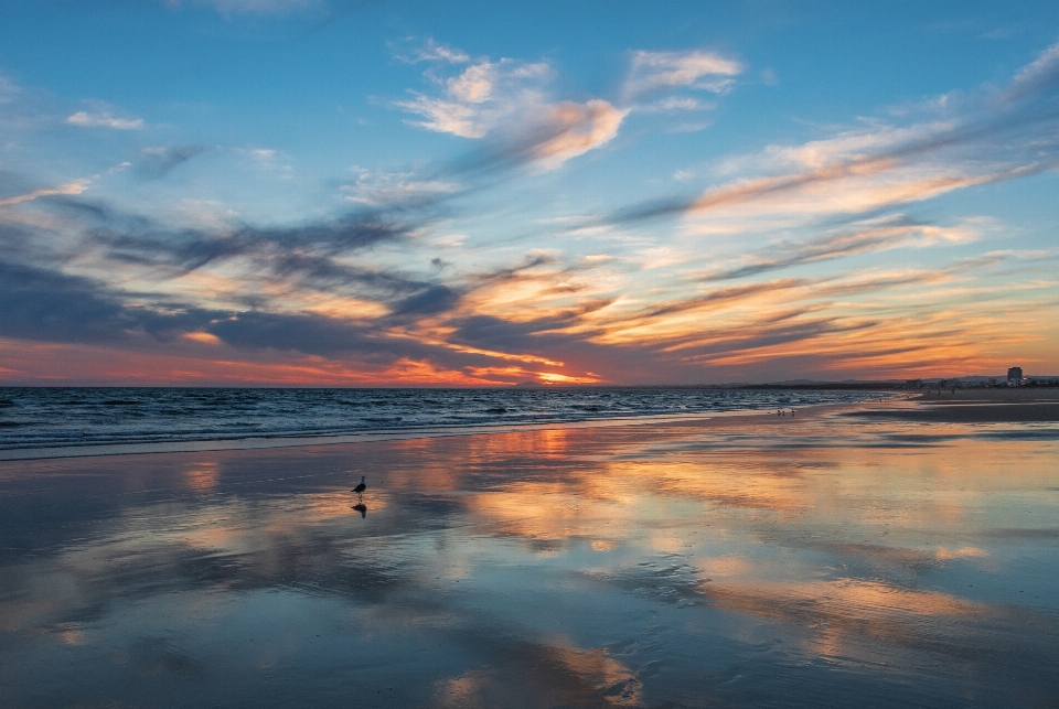 Ocean sunset sky body of water