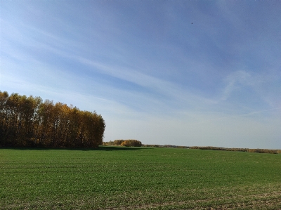 Field sky grassland natural landscape Photo