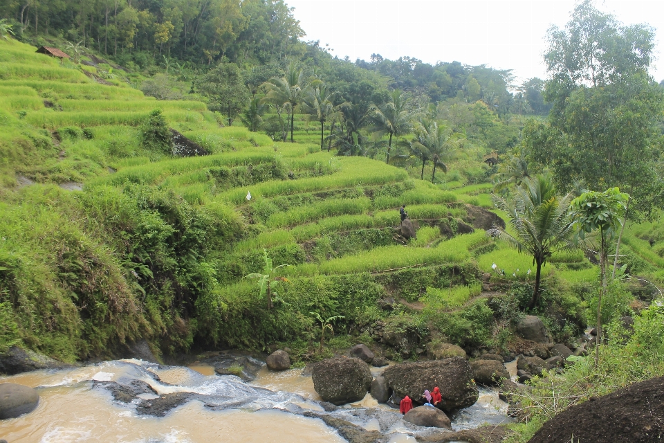 Countryside scenery landscaped titia