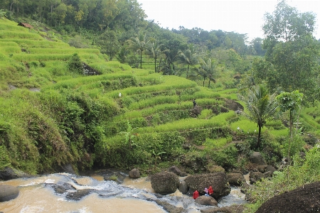 Countryside scenery landscaped titia Photo