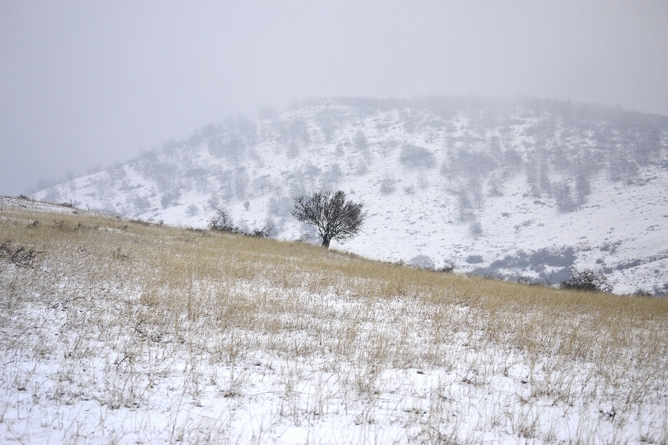 Snow winter first outdoors