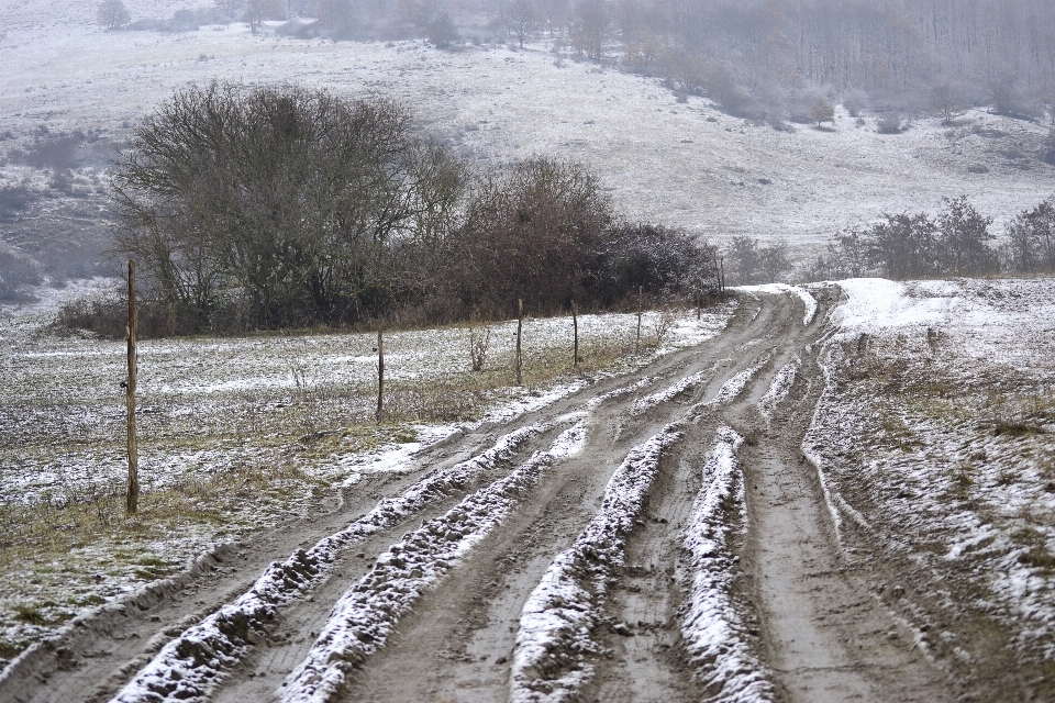 Neve inverno primeira neve
 ao ar livre