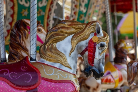 Foto Giostra giro di divertimenti
 parco cavallo