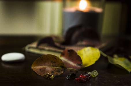 Foto Foglia autunno natura fotografia di morta
