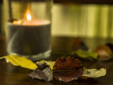 Home sweet autumn love Photo