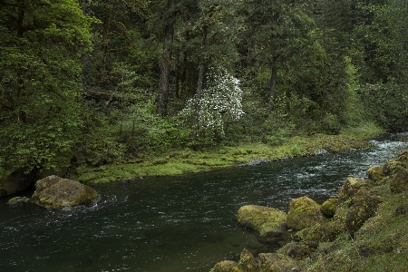 Body of water nature natural landscape riparian zone Photo