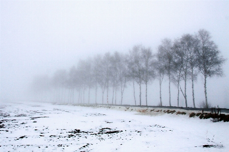 Hokkaido
 be
 눈 겨울 사진