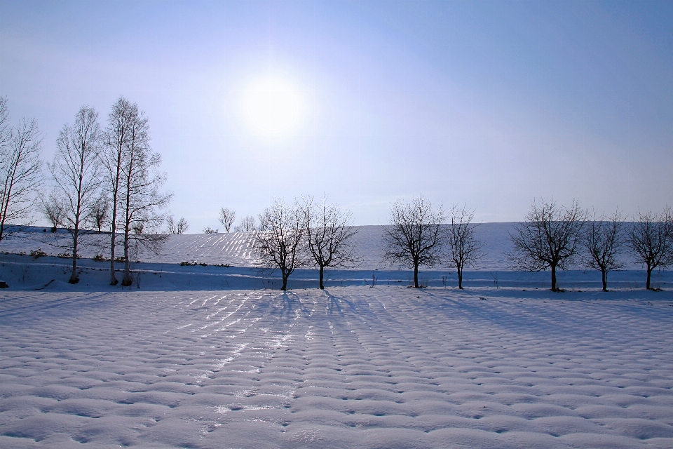 Hokkaido japan snow winter