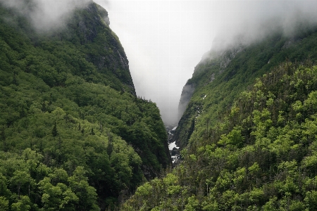 Foto Naturaleza estación de la colina
 vegetación paisaje natural
