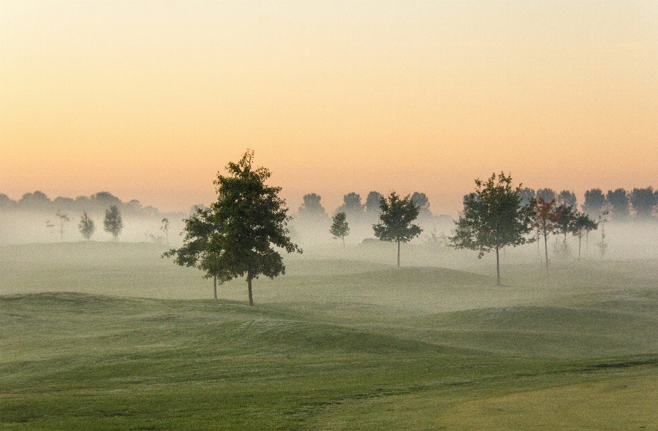 Nebel herbst natürliche landschaft
 natur