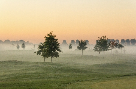 Mist autumn natural landscape nature Photo