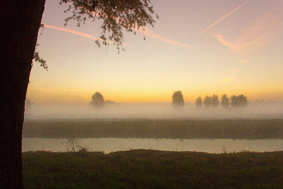 Mist autumn sky nature