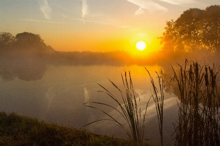 Mist autumn sky nature Photo