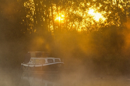 Mist autumn nature yellow Photo