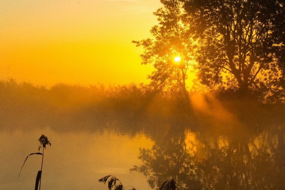 Mist autumn sky nature