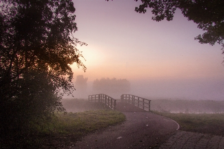 Mist autumn sky atmospheric phenomenon Photo