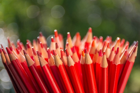 Pencils red wood creative Photo