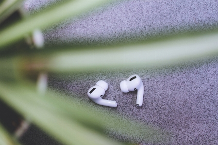 Green macro photography close up grass Photo