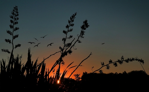 Sky dusk evening sunset Photo