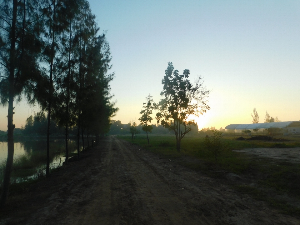 Mañana sol naturaleza fenómeno atmosférico
