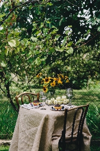 Tablecloth table tree furniture Photo