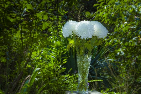 花束 フラワーズ 花瓶 太陽 写真