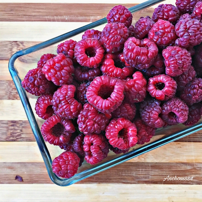 été forêt fruit rose