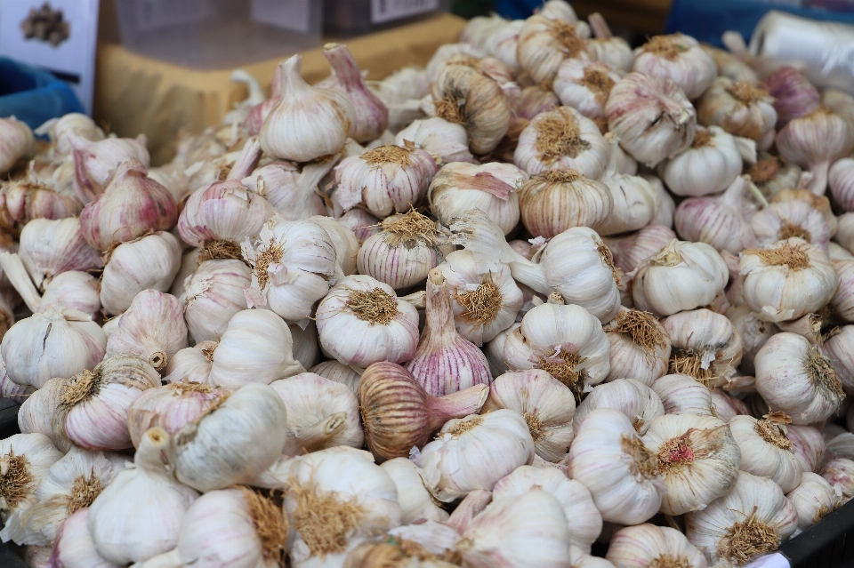 Kanoniere sie
 knoblauch natürliche lebensmittel
 essen