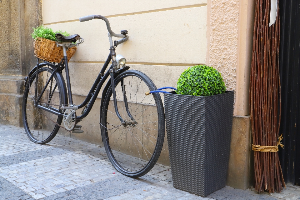 Canonizzarli
 bicicletta ruota di bicicletta
 accessorio per