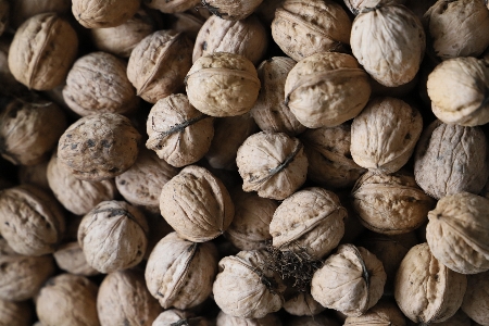 Canon eos walnut nut nuts seeds Photo