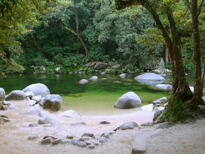 Clear water river forest Photo