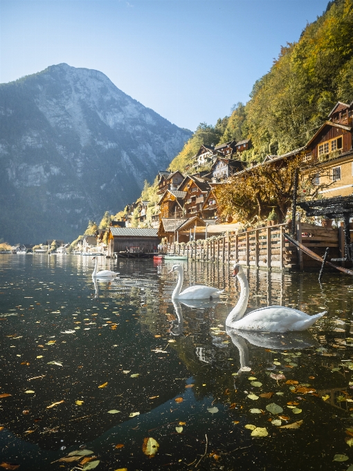 Natura góra woda niebo