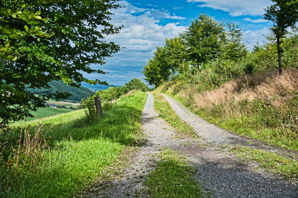 Landschap natural landscape road nature